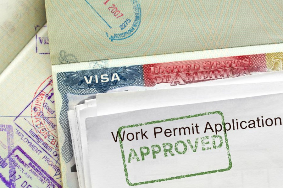 Business & Employment Visas